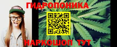 ECSTASY Моздок