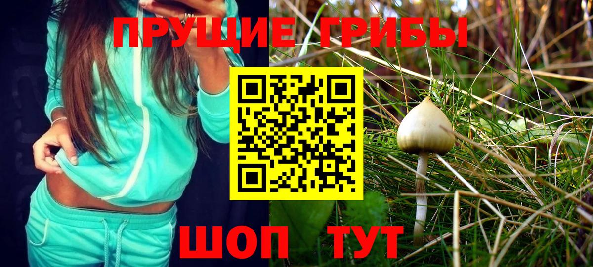 Псилоцибиновые грибы Psilocybe  Псилоцибиновые грибы Magic Shrooms  купить наркотик  Вход с VPN  Чернушка 